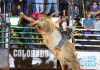 FINAL DO RODEIO DE COLORADO ULTRAPASSOU 2 MILHÕES DE VISUALIZAÇÕES NO YOUTUBE