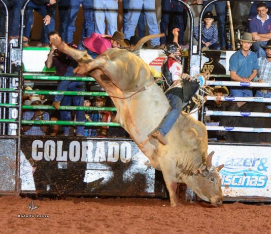 FINAL DO RODEIO DE COLORADO ULTRAPASSOU 2 MILHÕES DE VISUALIZAÇÕES NO YOUTUBE