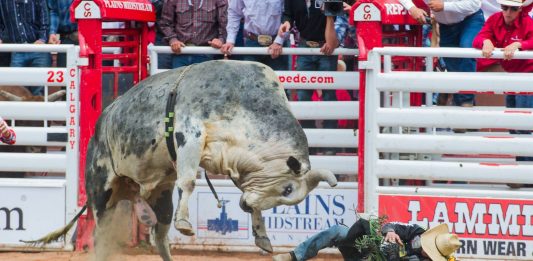 CBS FARÁ COBERTURA INÉDITA DO CALGARY STAMPEDE