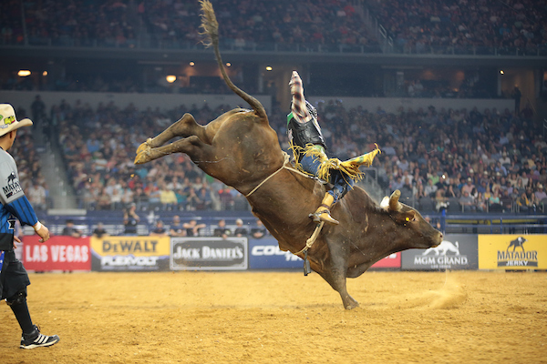 cowboy superação na arena, ele saiu desacordo da arena e em