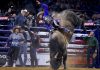 IRON COWBOY É UM DOS “MAJOR EVENTS” DA PBR – ENTENDA O CONCEITO