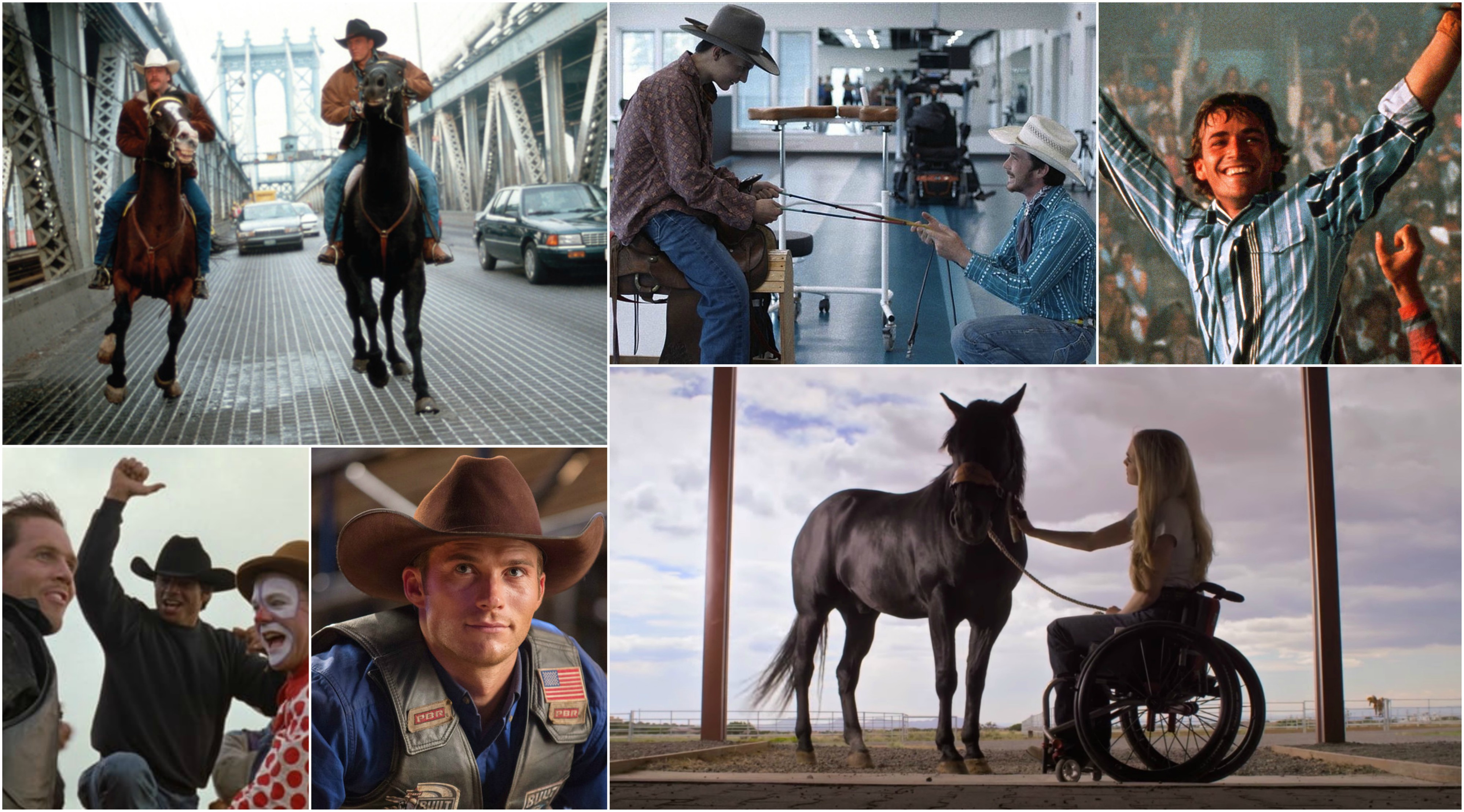 29 ideias de Cowboys  desenho de touro, boi de rodeio, montaria em touro