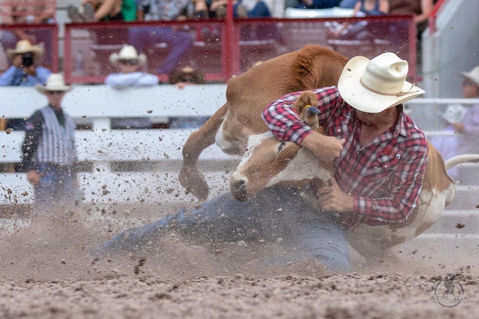 Como se tornar um ATLETA profissional de RODEIO? 