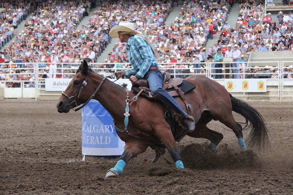 Três Tambores Cavalos Calgary