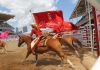 Calgary Stampede Rodeo PRCA
