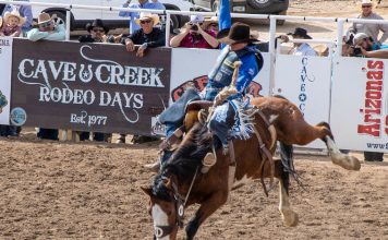 PRCA VOLTA AS ATIVIDADES NESTE FIM DE SEMANA COM RODEIO NO ARIZONA