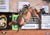 RIO PRETO COUNTRY BULLS CRIOU UM NOVO CONCEITO EM TRANSMISSÕES
