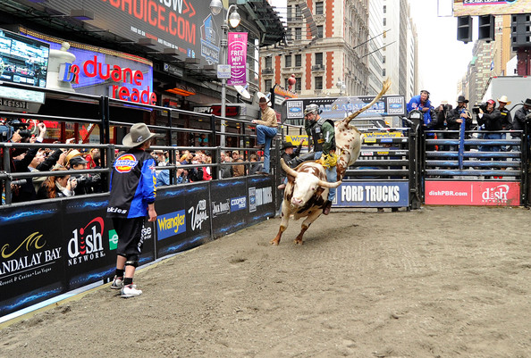 Touros de rodeio na Time Square Rodeio Nova York