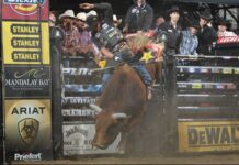 O que é a PBR 15/15 Bucking Battle