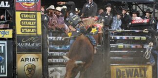 O que é a PBR 15/15 Bucking Battle