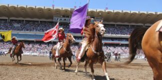 Rodeio de Calgary na pandemia