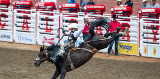 Formato do Rodeio de Calgary