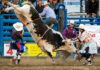 Patrocínio campeonato de Rodeio em touros