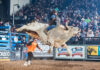 TUFF HEDEMAN TOUR INICIA TEMPORADA NESTE FIM DE SEMANA Tuff Hedeman Bull Riding Tour