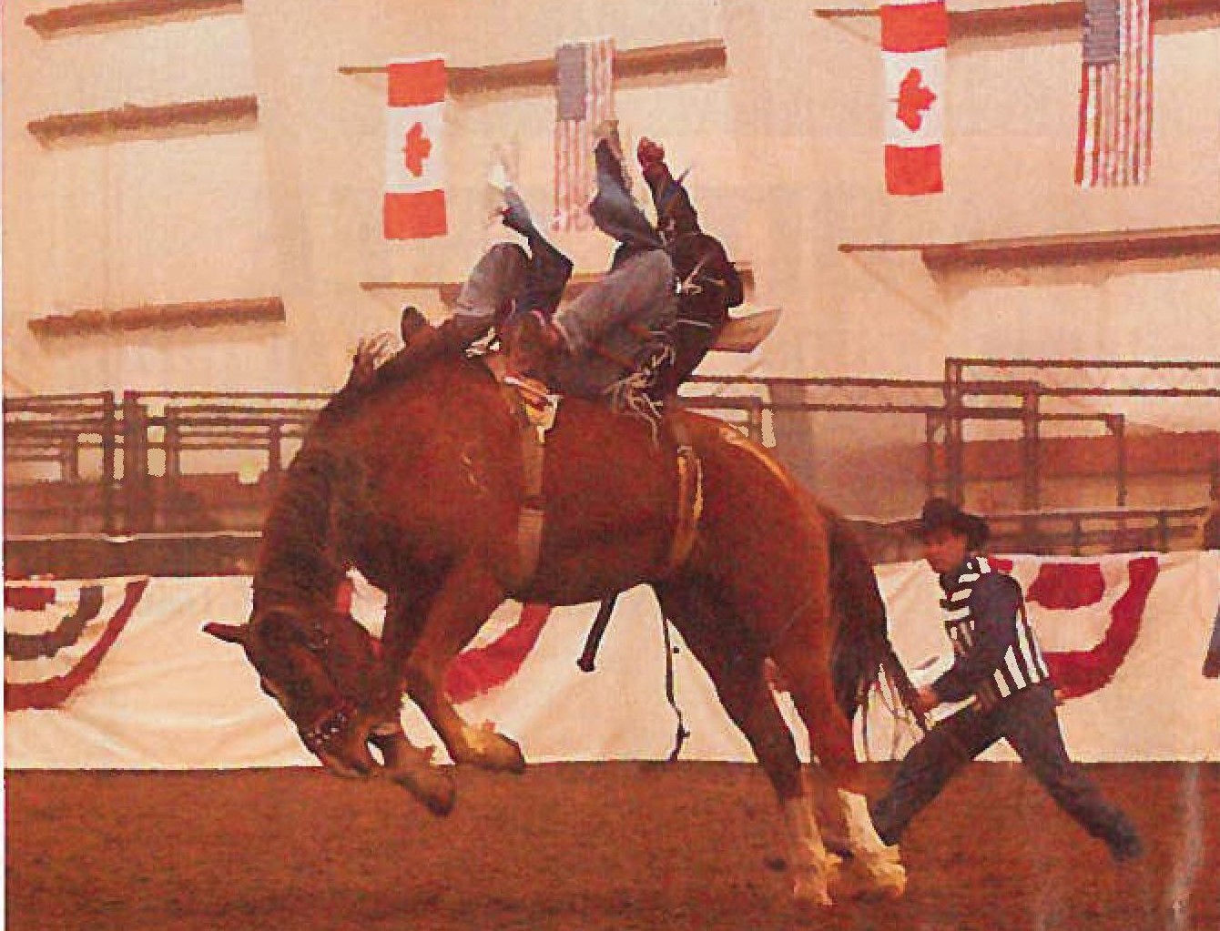 Competição de Montaria em Cavalos nos Jogos Olímpicos de Salt Lake City 2002