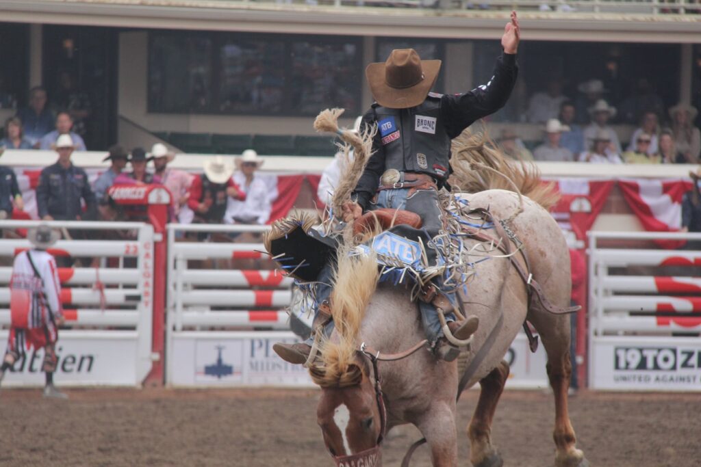 FINAL DO PRORODEO TOUR TERÁ PREMIAÇÃO US$ 1 MILHÃO
