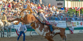 Rodeio em cavalos Estados Unidos