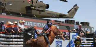 Ações de Marketing evento da PBR no navio