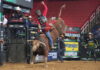 Transmissão ao vivo da PBR na TV